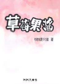 韩娱之草莓果酱