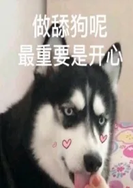 你当我是智障吧