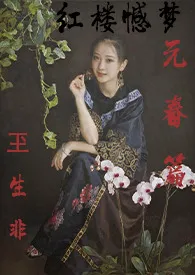 红楼憾梦：元春篇