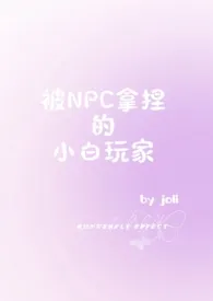 被NPC拿捏的小白玩家（NPH）