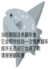 若骄阳不渡寒光