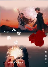 入夜涌动NPH