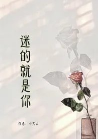 迷的就是你