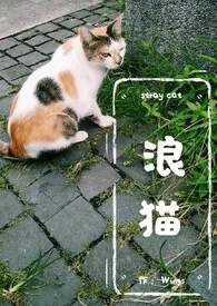 浪猫