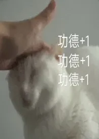 以下犯上futa